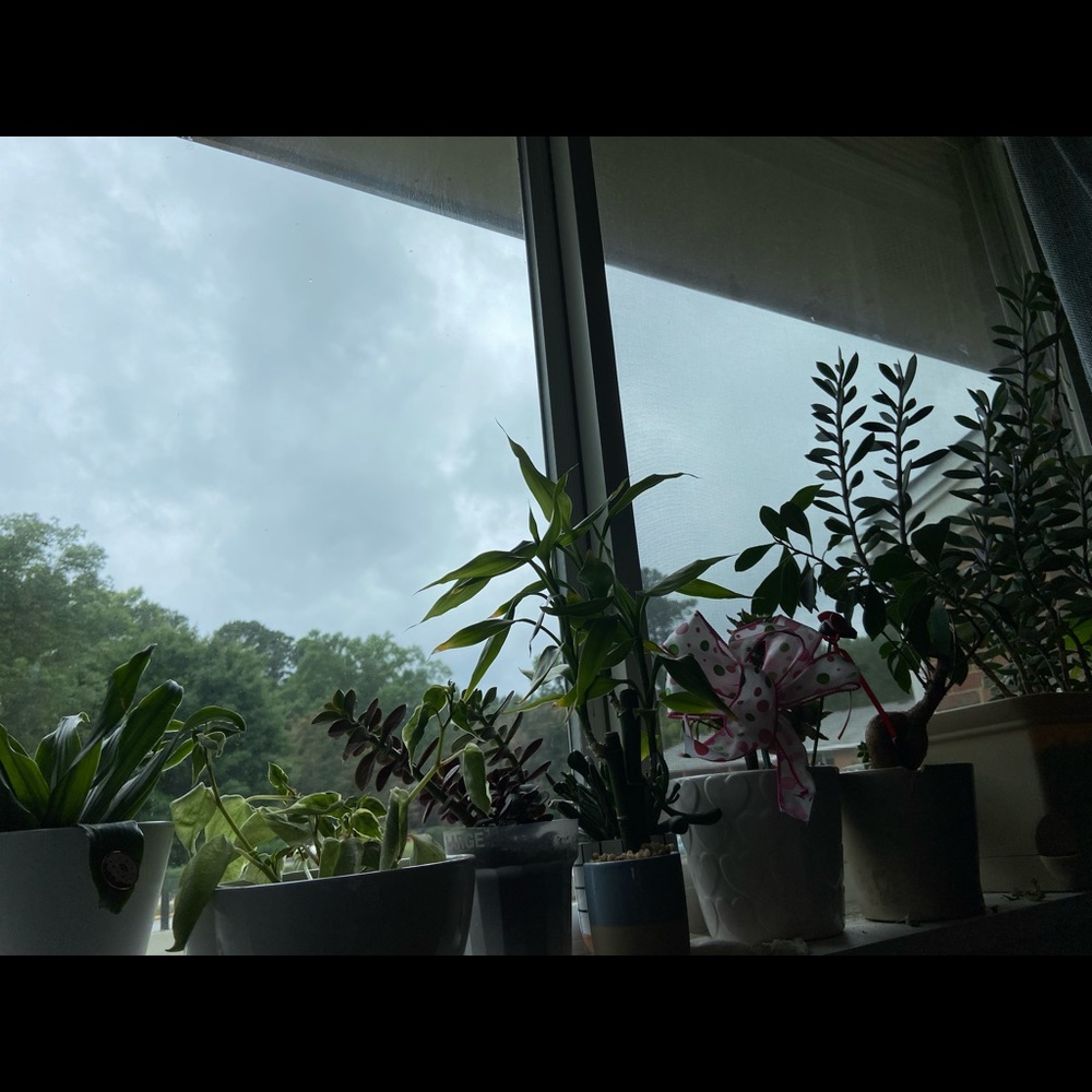 Meet your Posher, Allison